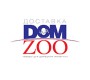 Интернет зоомагазин "DomZoo"